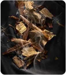 Oud